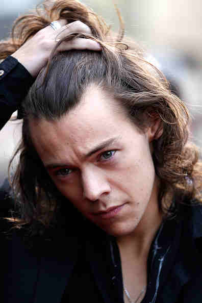 Harry Styles Nude Selfie: 1D Heartthrob Leaked Own Racy Pic ...