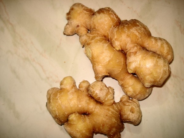 Ginger’s Rich History Unveiled : NUTRITION&FOOD : Youth Health Magzine