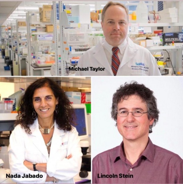 The Unanticipated Early Origins of Childhood Brain Cancer ...